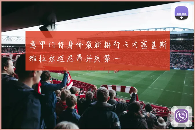 意甲门将身价最新排行卡内塞基斯维拉尔迈尼昂并列第一