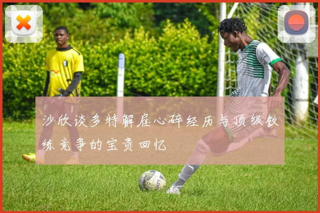 沙欣谈多特解雇心碎经历与顶级教练竞争的宝贵回忆