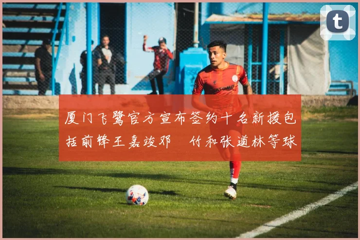 厦门飞鹭官方宣布签约十名新援包括前锋王嘉竣邓棽竹和张道林等球员